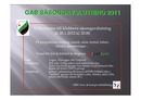 GAB_S_songavslutning_2011.pdf