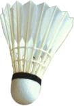 hkisulkapallo Logo